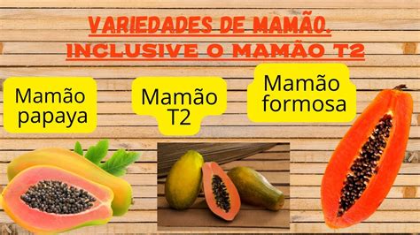 mamões|Mamões